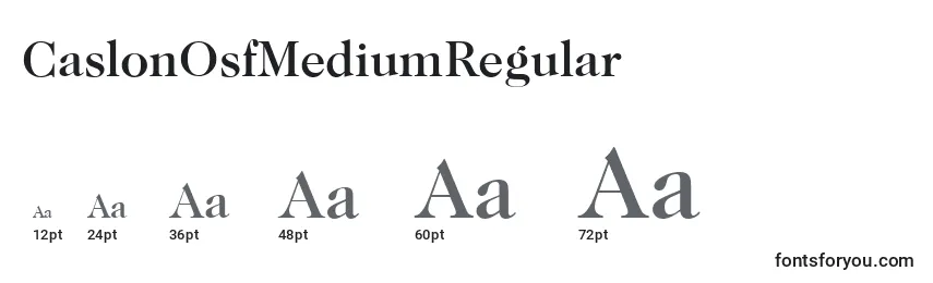 Размеры шрифта CaslonOsfMediumRegular