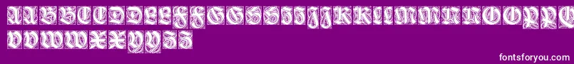 Ehmckeschwabacher Font – White Fonts on Purple Background