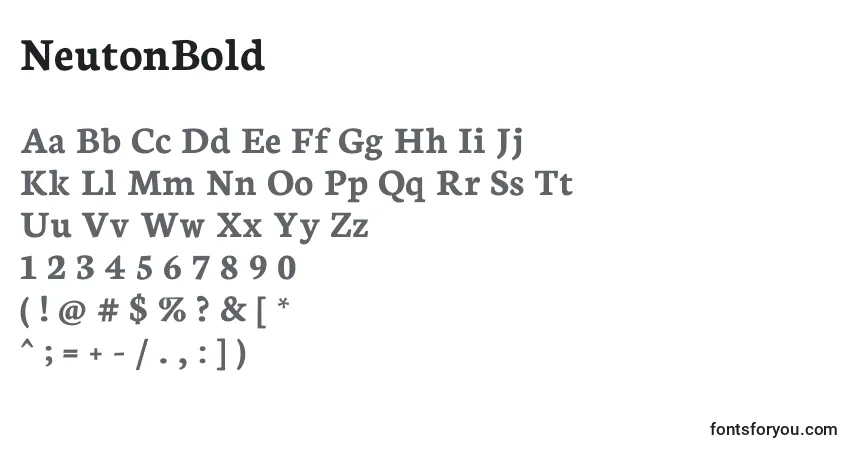 Czcionka NeutonBold – alfabet, cyfry, specjalne znaki