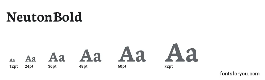 NeutonBold Font Sizes