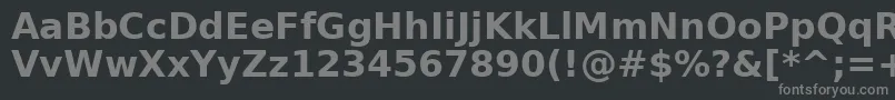 フォントAeOuhodBold – 黒い背景に灰色の文字