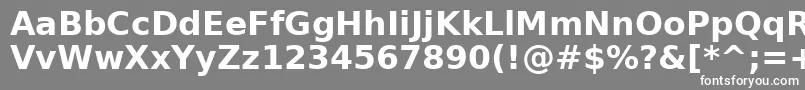 Шрифт AeOuhodBold – белые шрифты на сером фоне