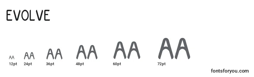 Размеры шрифта Evolve