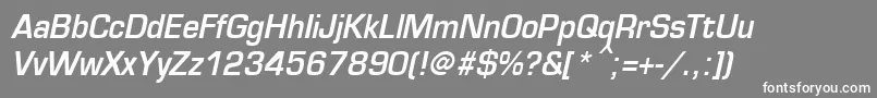 EurosecondBoldItalic Font – White Fonts on Gray Background