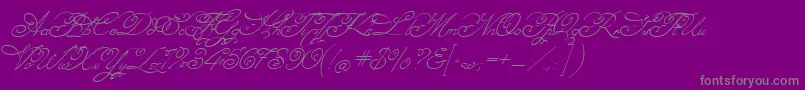 MissFajardose-Schriftart – Graue Schriften auf violettem Hintergrund