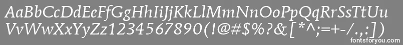 ItcMendozaRomanLtBookItalic Font – White Fonts on Gray Background
