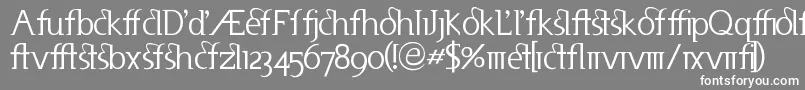 Useneta Font – White Fonts on Gray Background