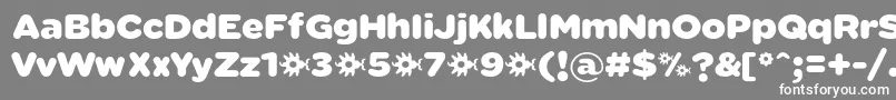 フォントSabandijaFontFfp – 灰色の背景に白い文字