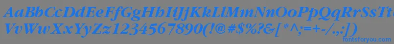 Vaniel3BoldItalic Font – Blue Fonts on Gray Background