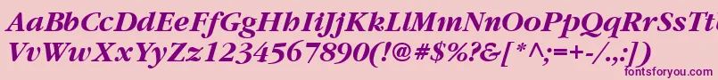 Vaniel3BoldItalic Font – Purple Fonts on Pink Background