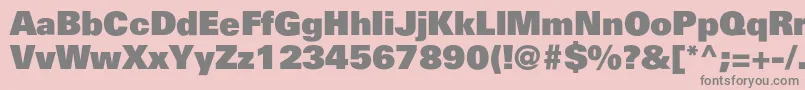Partnerblack Font – Gray Fonts on Pink Background