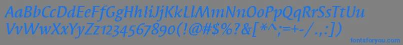SyndorMdOsItcTtMediumita Font – Blue Fonts on Gray Background