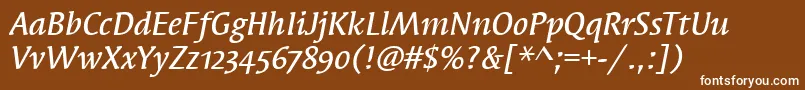 フォントSyndorMdOsItcTtMediumita – 茶色の背景に白い文字