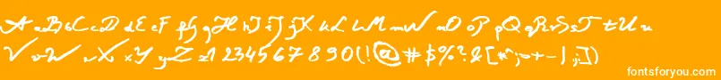 JacekZiebaJasinskiBoldItalic Font – White Fonts on Orange Background