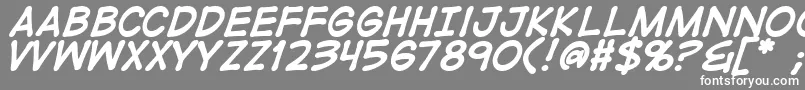 DigitalstripBold Font – White Fonts on Gray Background