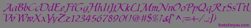 ChaucerRegular Font – Purple Fonts on Gray Background