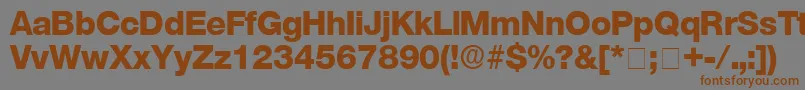 StefaDisplaySsi Font – Brown Fonts on Gray Background
