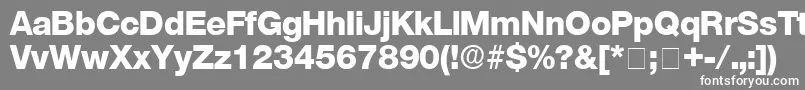 StefaDisplaySsi Font – White Fonts on Gray Background