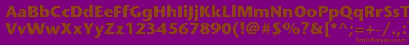 StonesansstdBold Font – Brown Fonts on Purple Background