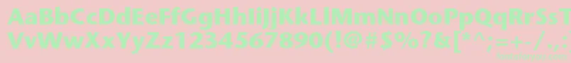 StonesansstdBold Font – Green Fonts on Pink Background