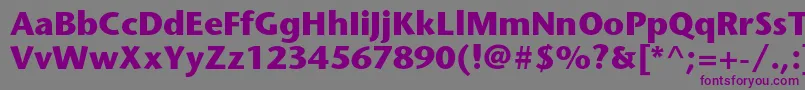 Шрифт StonesansstdBold – фиолетовые шрифты на сером фоне
