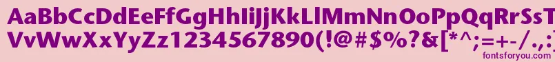 StonesansstdBold Font – Purple Fonts on Pink Background