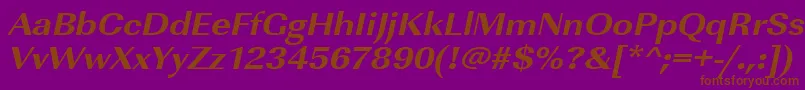 UrwimperialtextbolextwidOblique Font – Brown Fonts on Purple Background