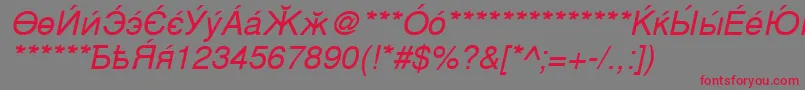 CyrillicsansOblique Font – Red Fonts on Gray Background