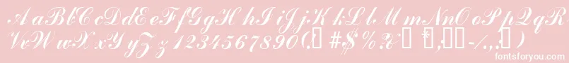 Laubergescriptssk-Schriftart – Weiße Schriften auf rosa Hintergrund