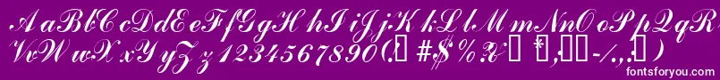 Laubergescriptssk-Schriftart – Weiße Schriften auf violettem Hintergrund