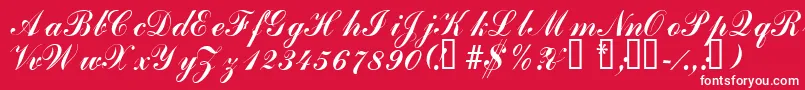 Laubergescriptssk Font – White Fonts on Red Background