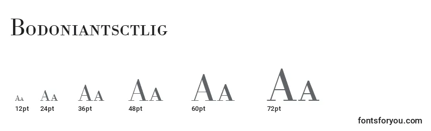 Bodoniantsctlig Font Sizes