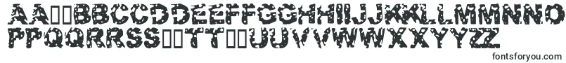 フォントTargetPractice – ルーマニアのフォント