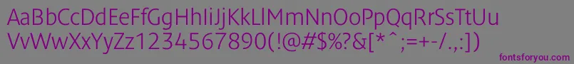Dendanewlightc Font – Purple Fonts on Gray Background