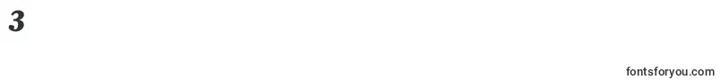OleoscriptswashcapsBold Font – Fonts for Digit 3