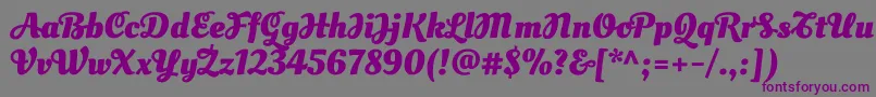 OleoscriptswashcapsBold-fontti – violetit fontit harmaalla taustalla