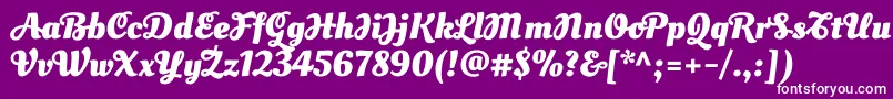 OleoscriptswashcapsBold Font – White Fonts on Purple Background