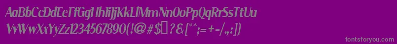 Serini-Schriftart – Graue Schriften auf violettem Hintergrund