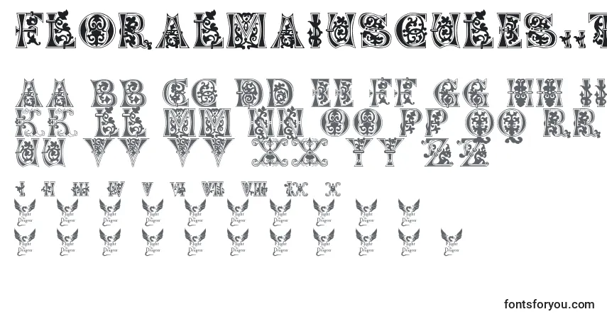 Czcionka FloralMajuscules11thC. – alfabet, cyfry, specjalne znaki