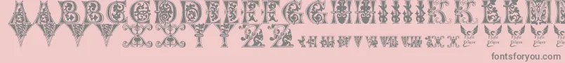 FloralMajuscules11thC. Font – Gray Fonts on Pink Background