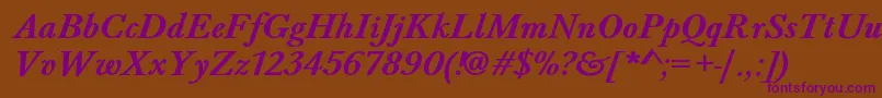 BaskervaldadfstdBolditalic Font – Purple Fonts on Brown Background