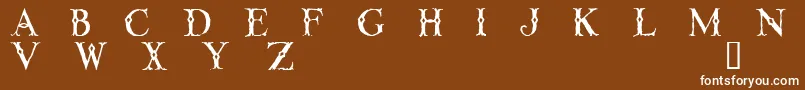 Lintd-Schriftart – Weiße Schriften auf braunem Hintergrund