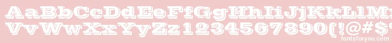 Vinetan Font – White Fonts on Pink Background