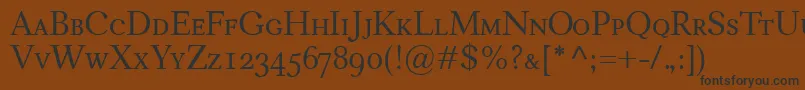 CarniolaSmallcaps Font – Black Fonts on Brown Background