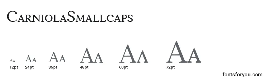 CarniolaSmallcaps Font Sizes