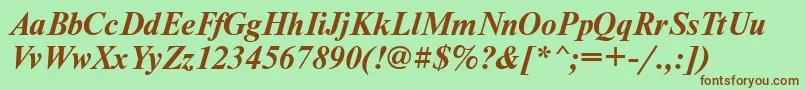 NewtonattBolditalic Font – Brown Fonts on Green Background