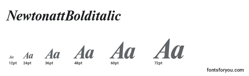 NewtonattBolditalic Font Sizes