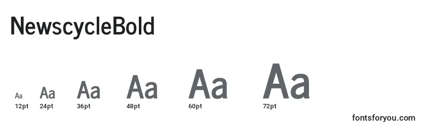 NewscycleBold Font Sizes
