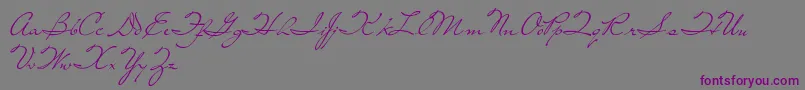 LivingTogether Font – Purple Fonts on Gray Background