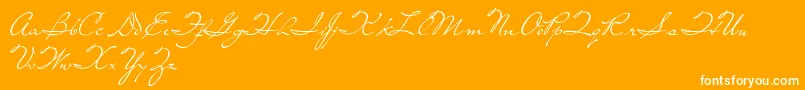 LivingTogether-Schriftart – Weiße Schriften auf orangefarbenem Hintergrund